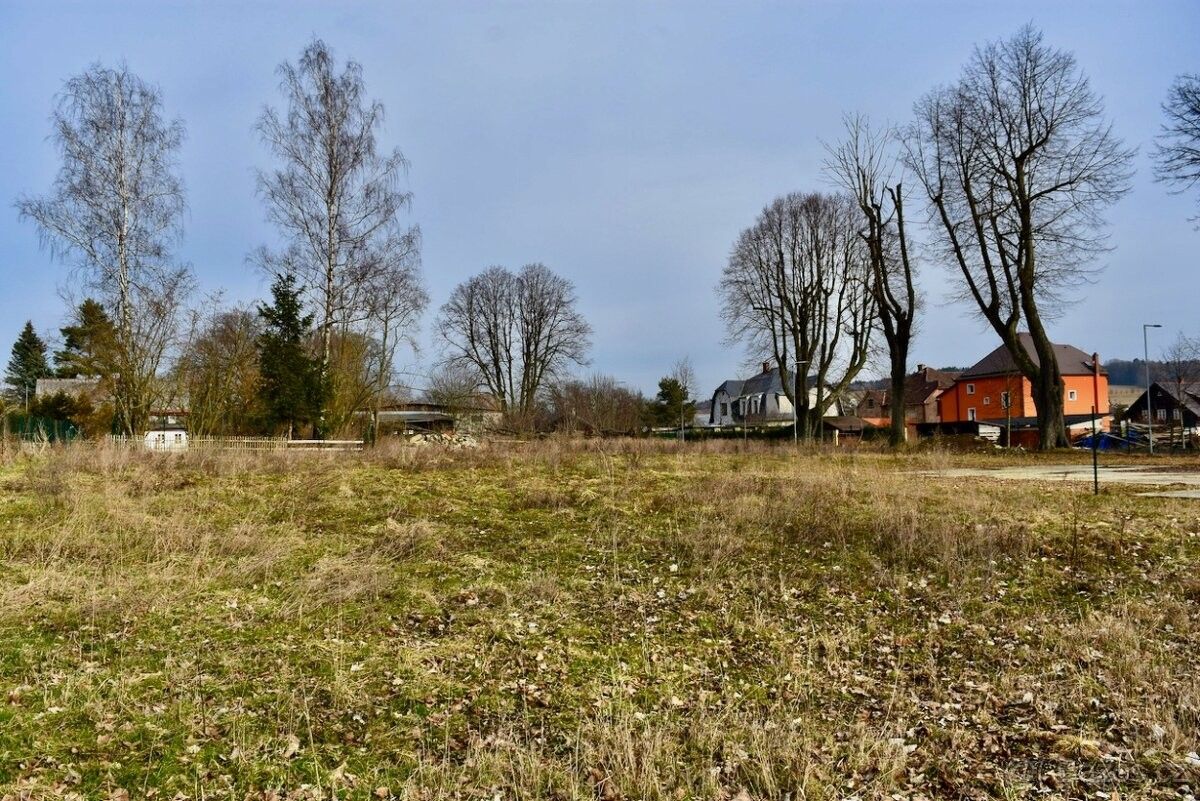 Prodej pozemek pro bydlení - Lipová u Šluknova, 407 81