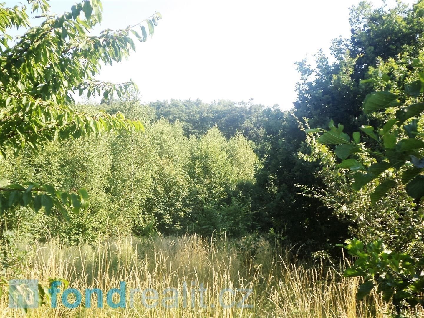 Ostatní, Dětmarovice, 2 m²