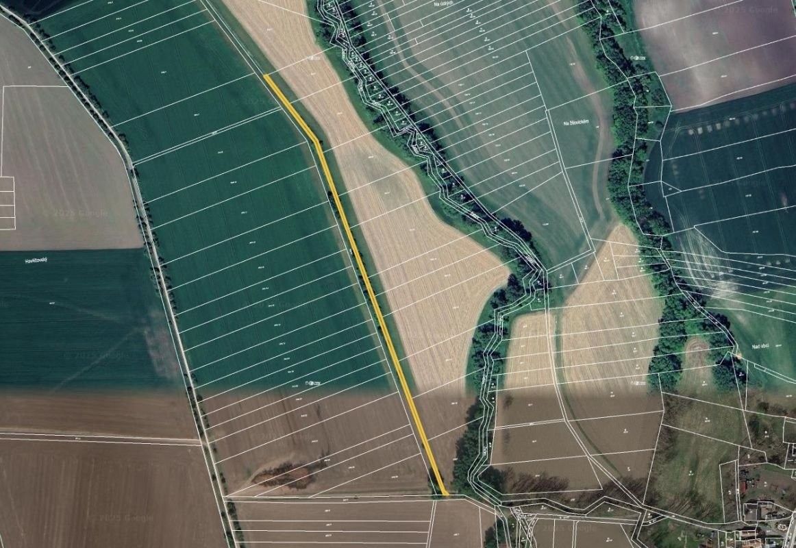 Zemědělské pozemky, Rosice, 299 m²