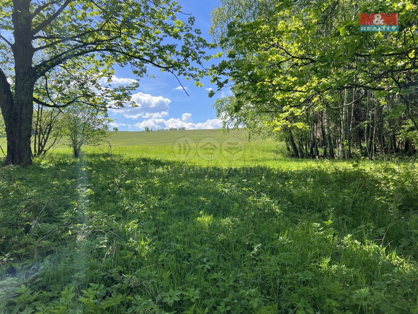 Prodej rodinný dům - Stará Voda, Světlá Hora, 90 m²