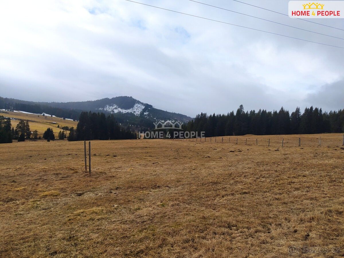 Prodej pozemek pro bydlení - Borová Lada, 385 01