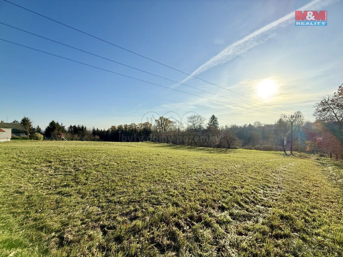 Prodej louka - Týniště nad Orlicí, 517 21, 2 214 m²