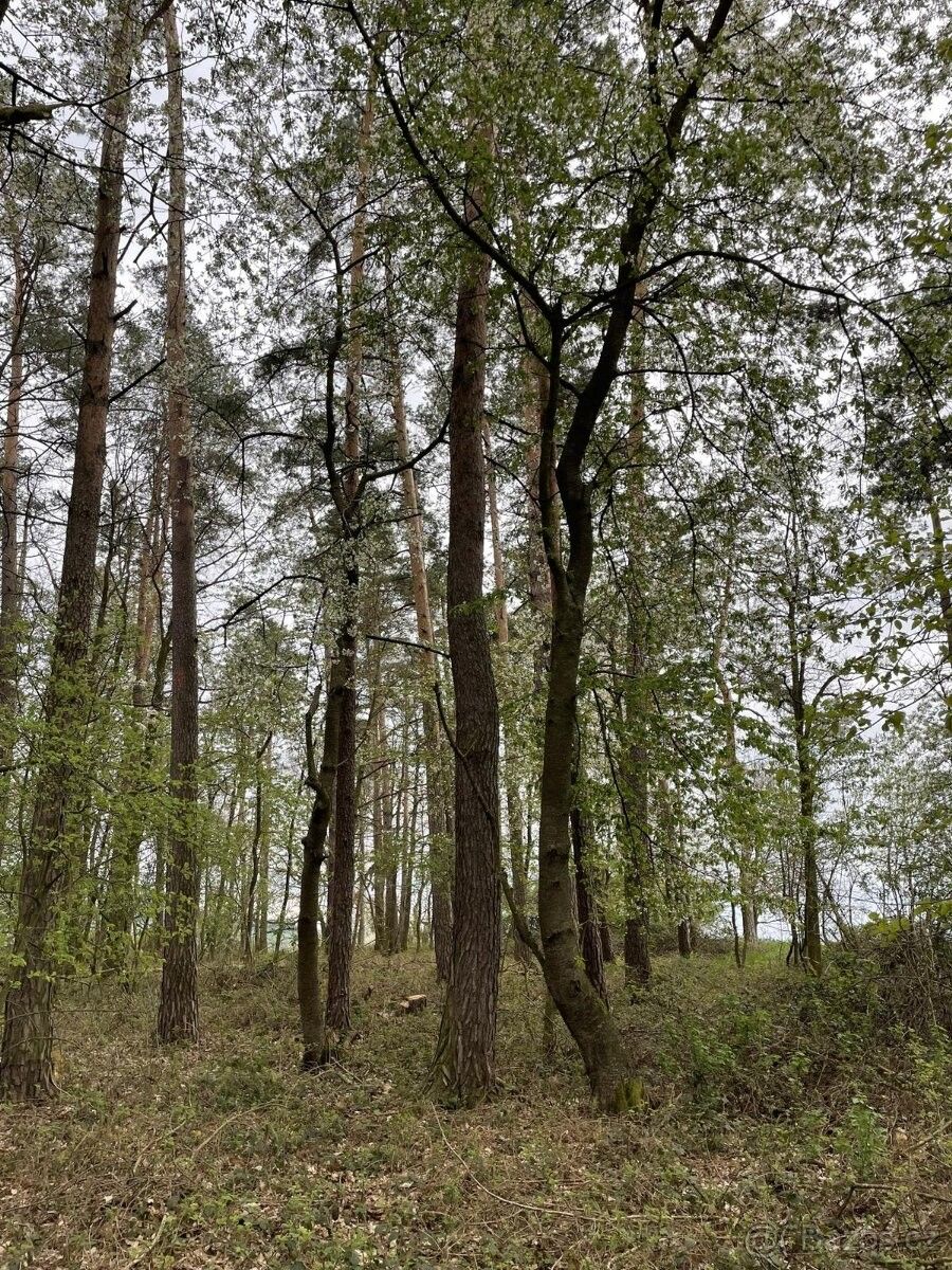 Pozemky pro bydlení, Plzeň, 326 00