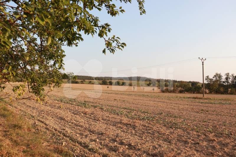 Prodej zemědělský pozemek - Bělkovice-Lašťany