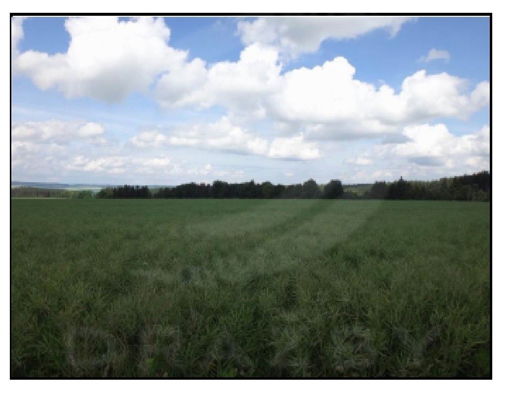 Prodej zemědělský pozemek - Sklené, 70 000 m²