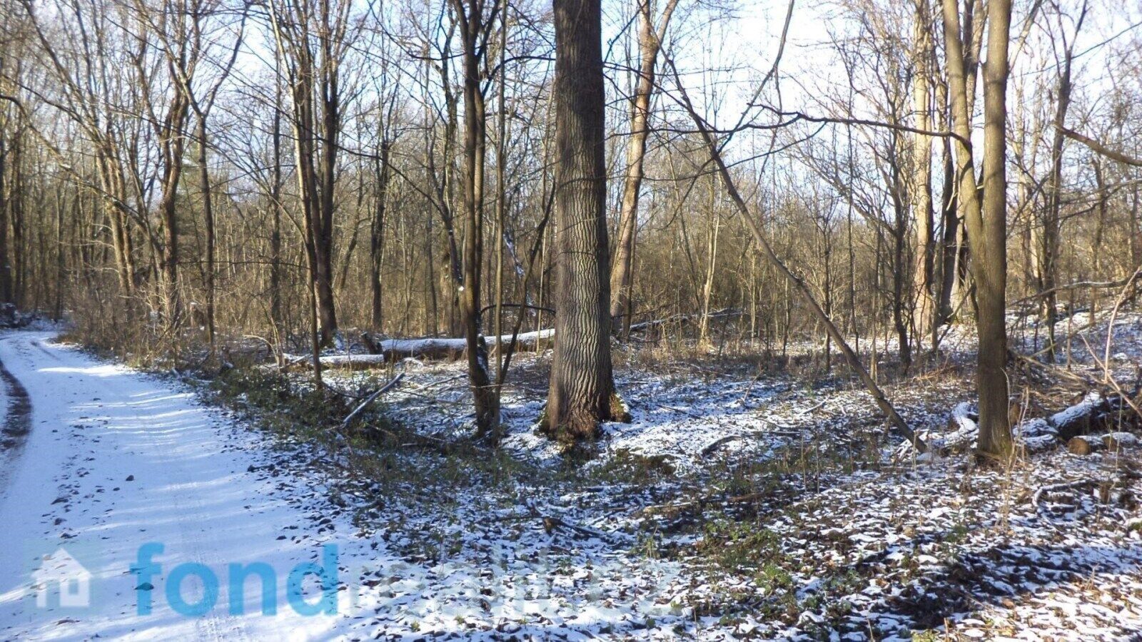 Prodej pozemek - Staré Město pod Landštejnem, 3 575 m²