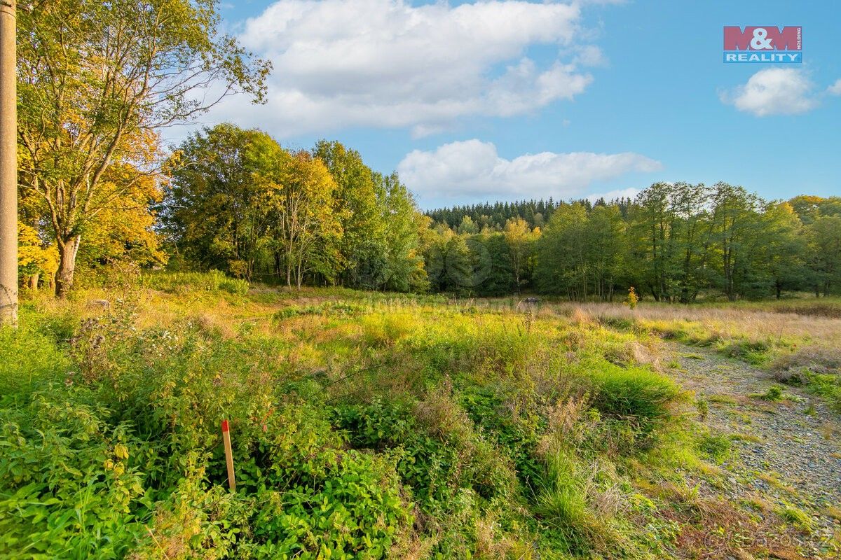 Ostatní, Mariánské Lázně, 353 01, 486 m²