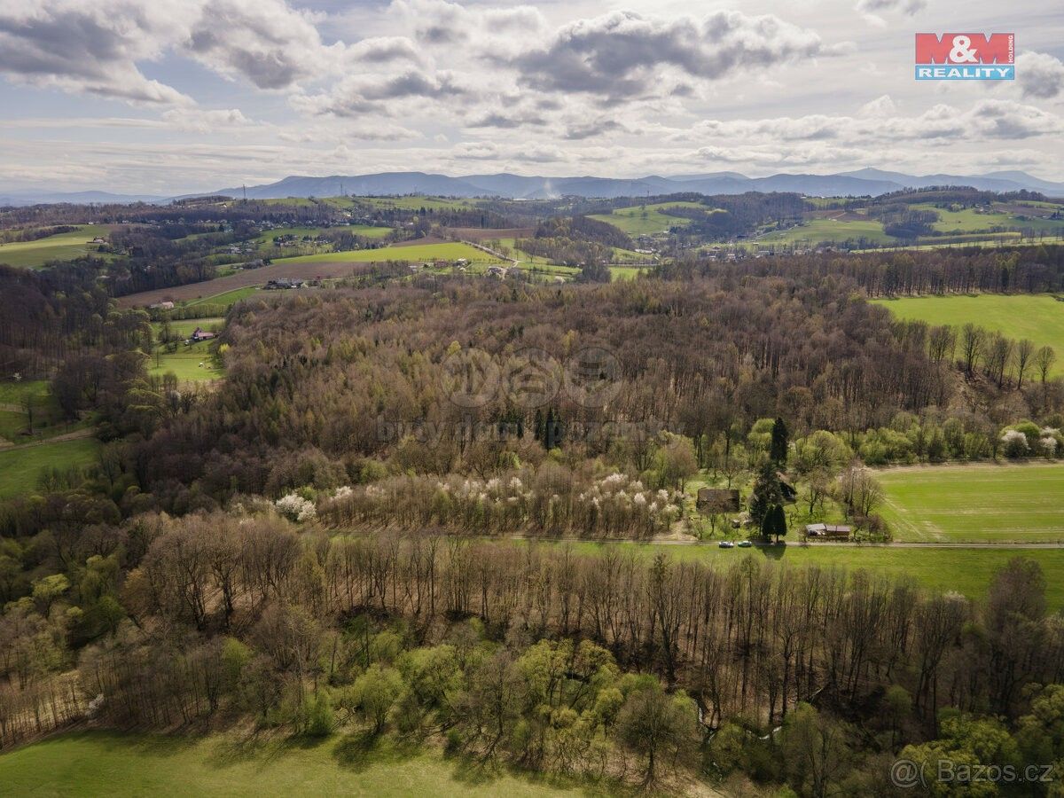 Prodej les - Albrechtice u Českého Těšína, 735 43, 19 718 m²