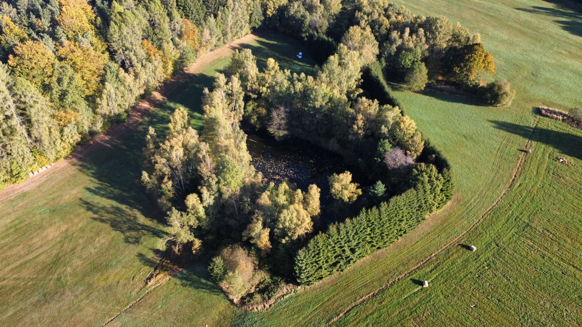 Ostatní, Klení, Benešov nad Černou, 6 805 m²