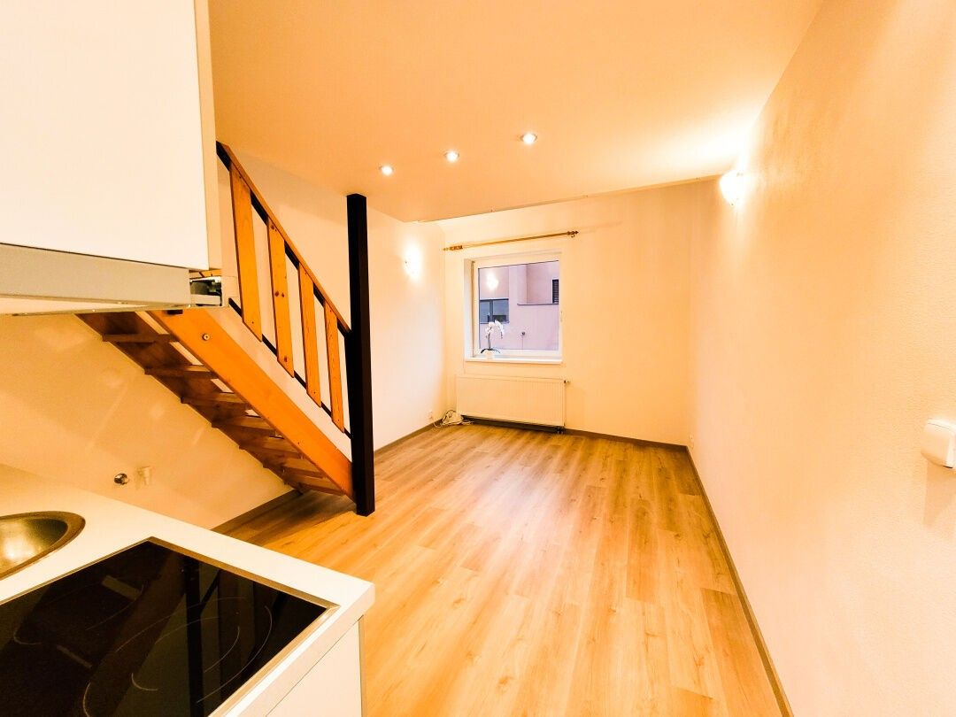 2+kk, bratří Sapáků, Brno, 50 m²