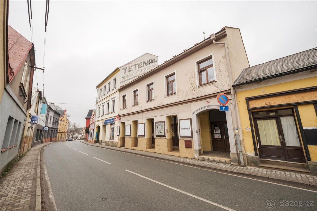 Obchodní prostory, Žamberk, 564 01