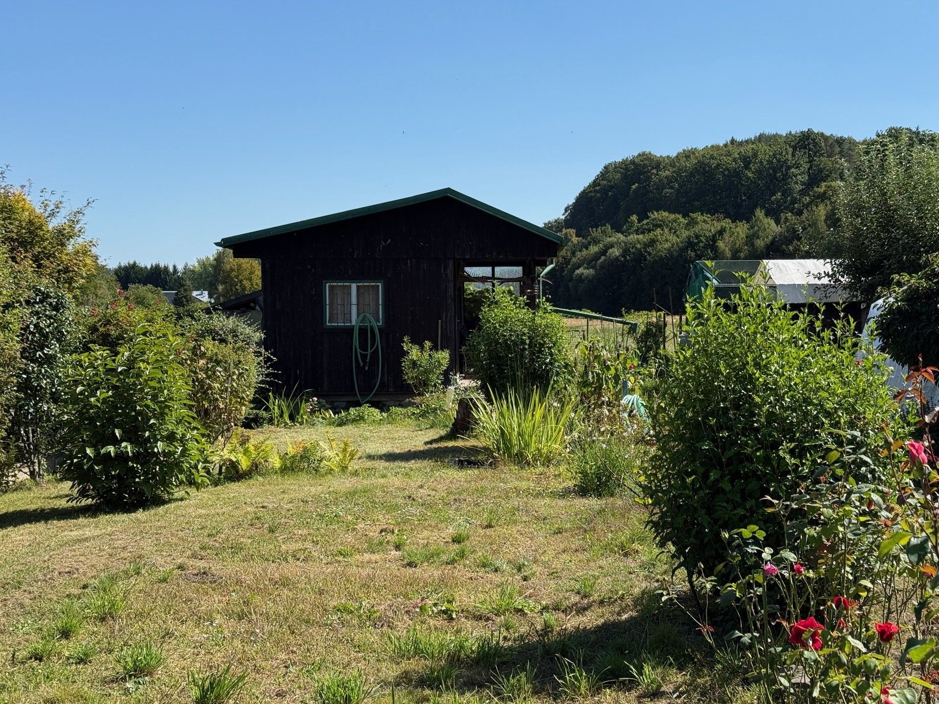 Ostatní, U Koupaliště, Choceň, 412 m²