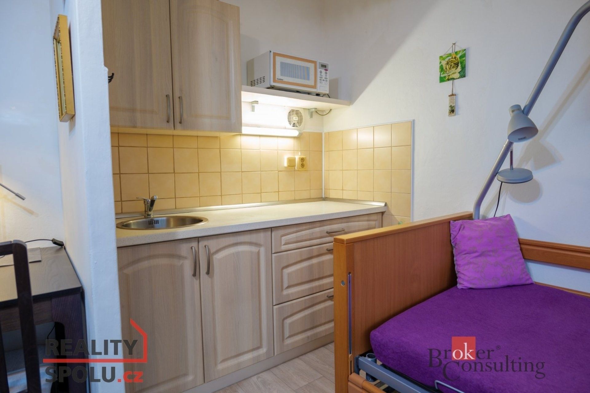 Prodej byt 1+kk - Bachova, Praha, 31 m²