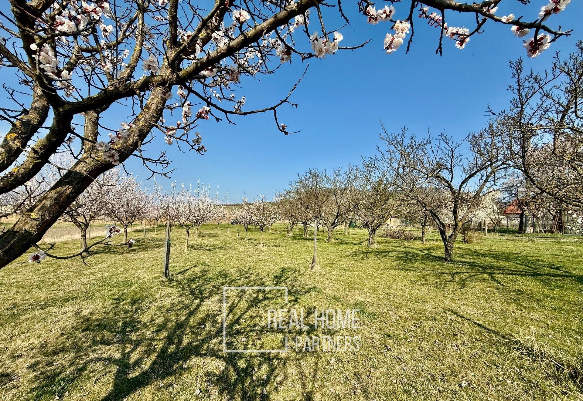 Prodej komerční pozemek - Perná, 2 700 m²