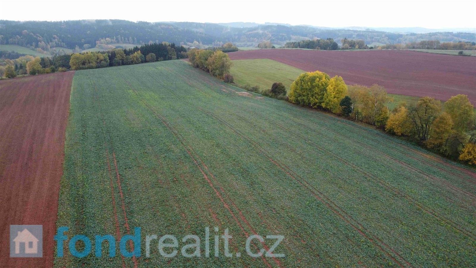 Zemědělské pozemky, Staré Buky, 71 140 m²