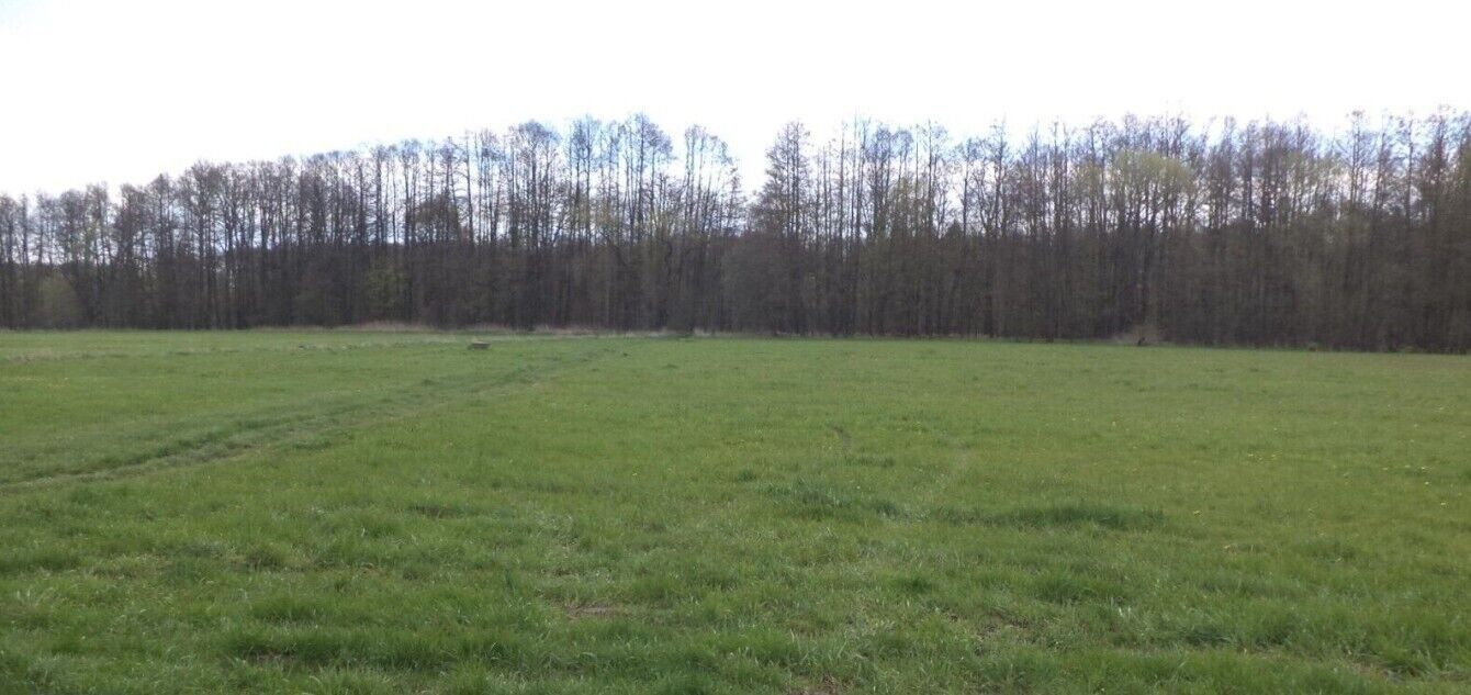 Zemědělské pozemky, Tachov, 55 m²