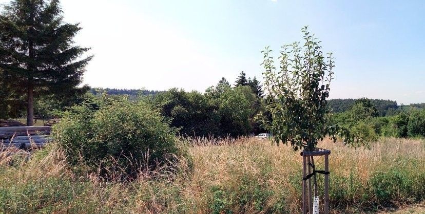 Pozemky pro bydlení, Zahradní, Kostelec nad Černými lesy