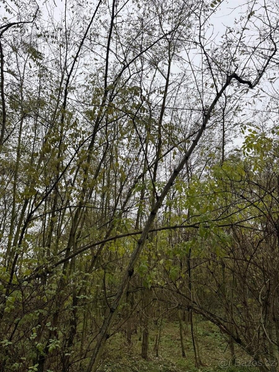 Pozemky pro bydlení, Štětí, 411 08