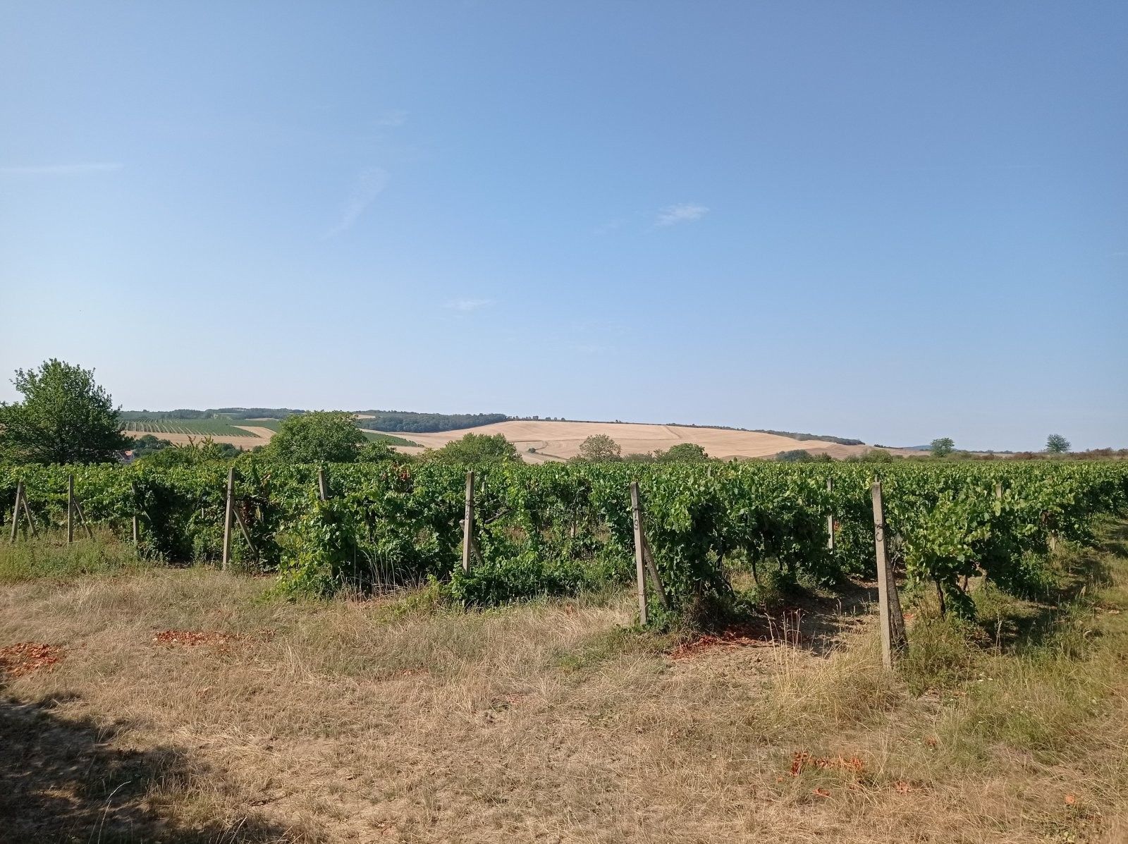 Ostatní, Úvaly, Valtice, 3 m²