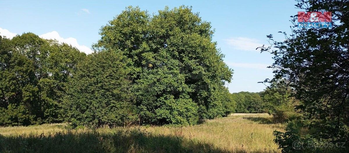 Prodej pozemek - Řisuty, 273 78, 11 412 m²