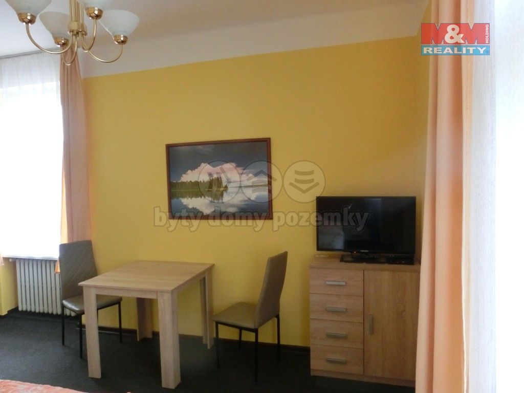 1+kk, Boženy Němcové, Mladá Boleslav, 17 m²