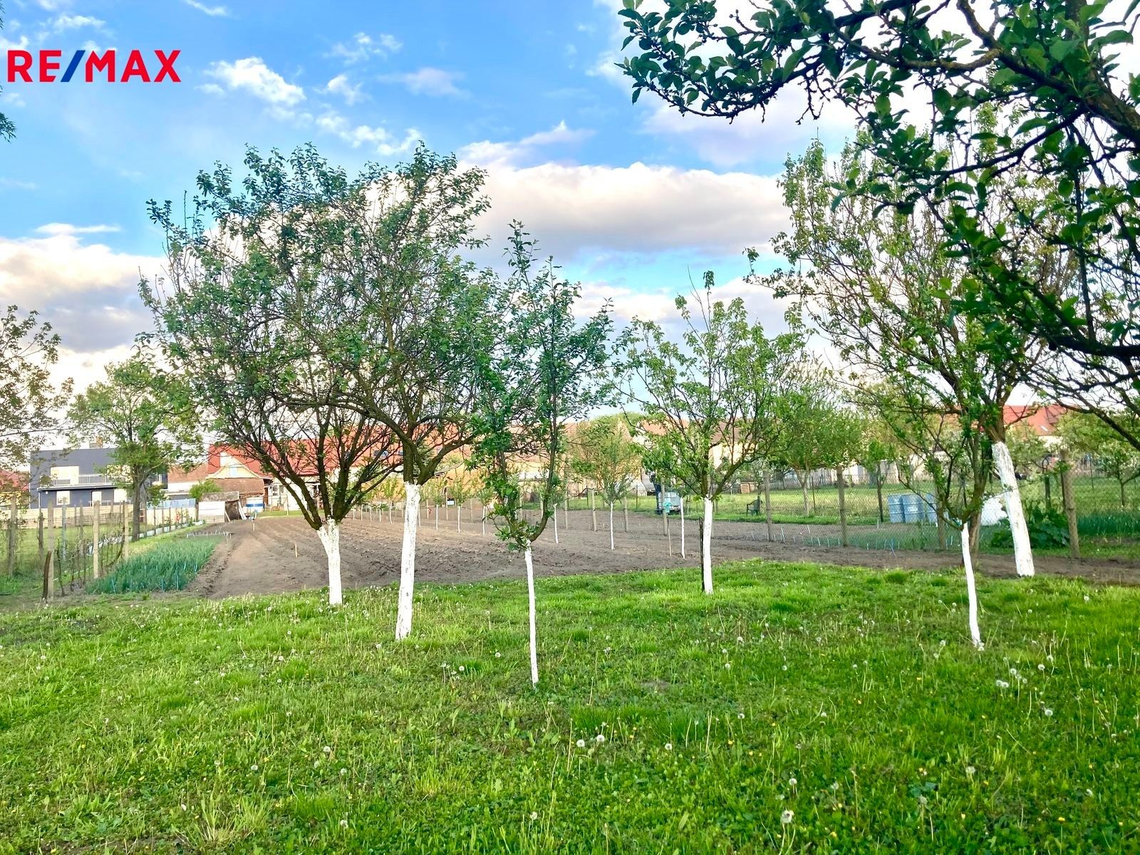 Prodej rodinný dům - Dolní Konec, Vacenovice, 215 m²