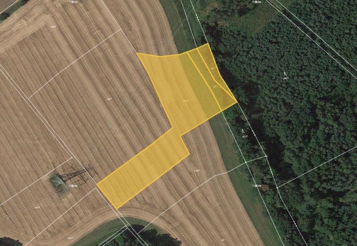 Zemědělské pozemky, Vlastibořice, 7 194 m²