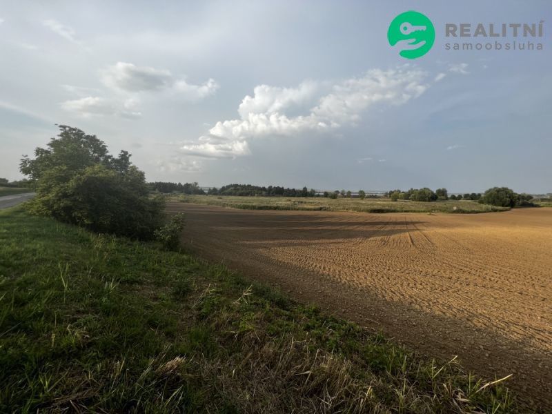 Zemědělské pozemky, Pavlov