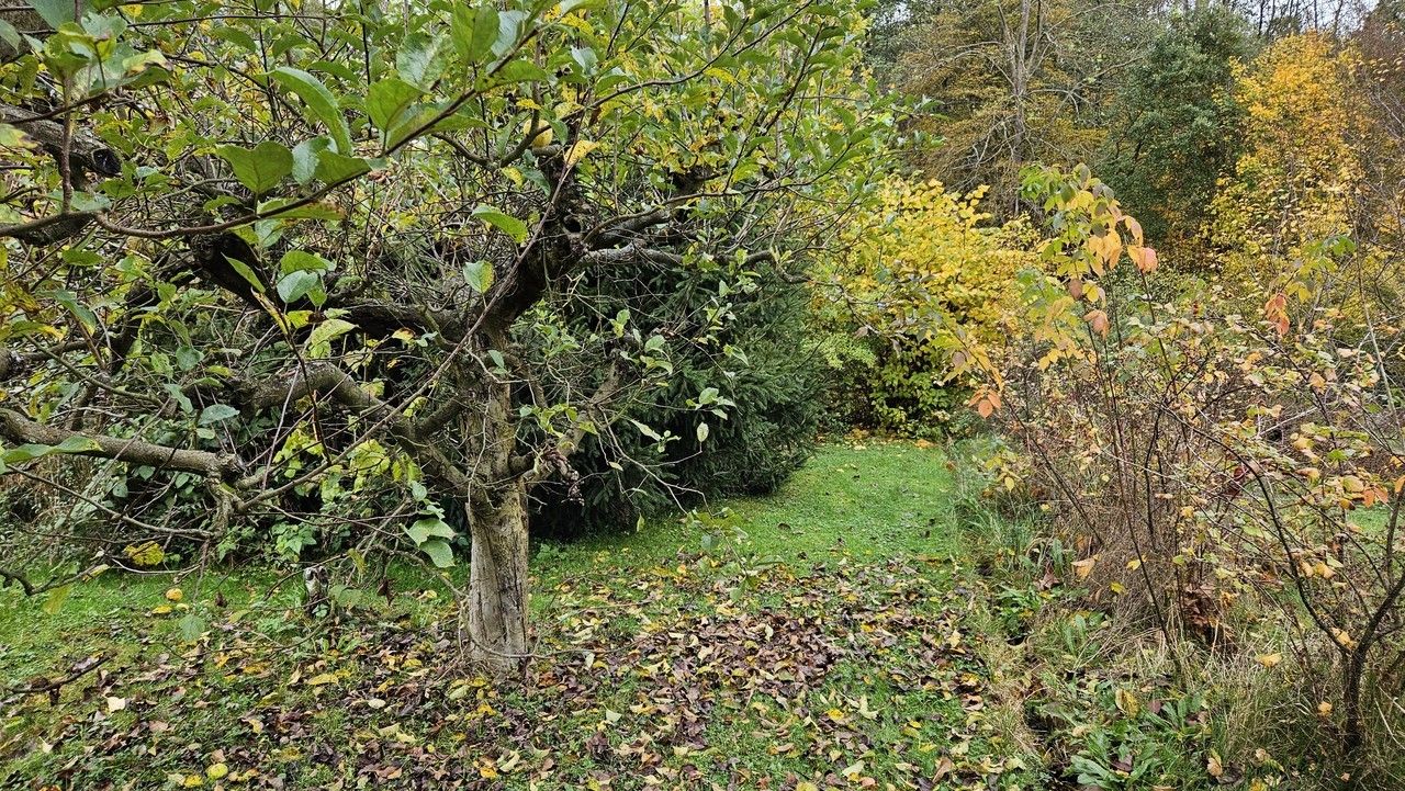 Prodej chata - XXVIII-Folknáře, Děčín, 15 m²