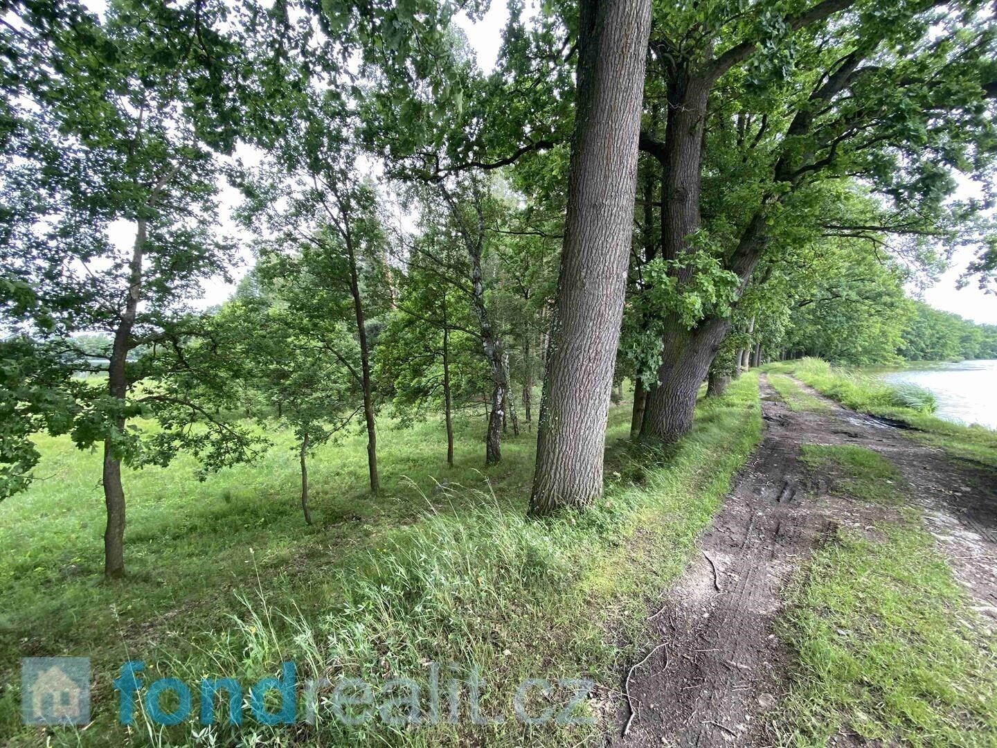 Ostatní, Mladějovice, Čejetice, 1 m²