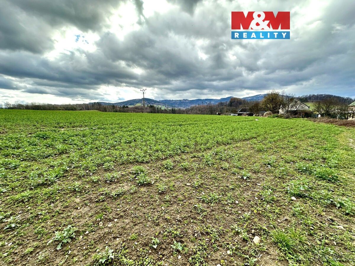 Pozemky pro bydlení, Písečná u Jeseníku, 790 82