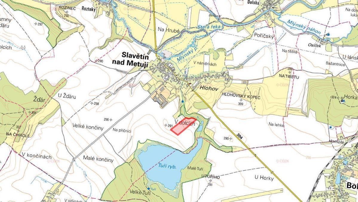 Prodej zemědělský pozemek - Nové Město nad Metují, 549 01, 33 279 m²