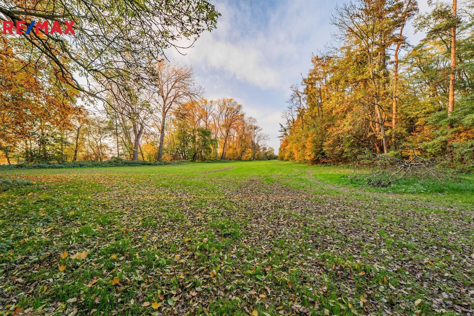 Prodej louka - Praha, 5 m²