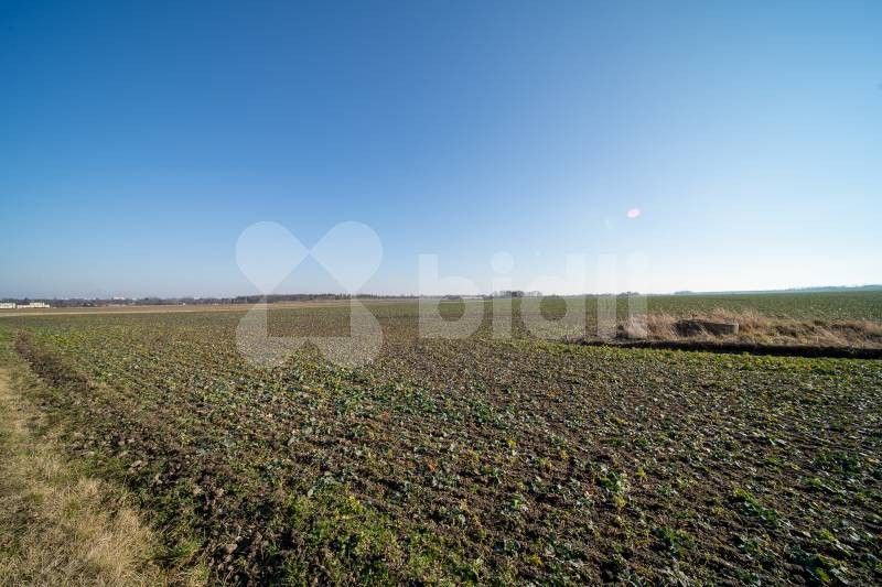 Pozemky pro bydlení, Dražkovice, Pardubice