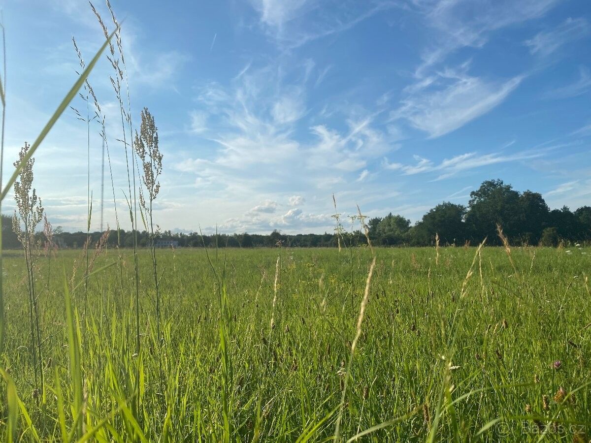 Prodej pozemek pro bydlení - Poděbrady, 290 01