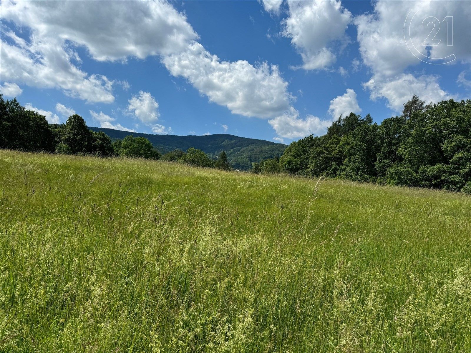 Prodej pozemek pro bydlení - V Lučinách, Liberec, 11 402 m²