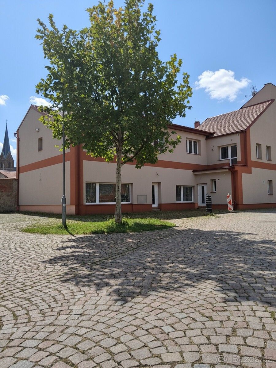 Ostatní, Bučina, 566 01