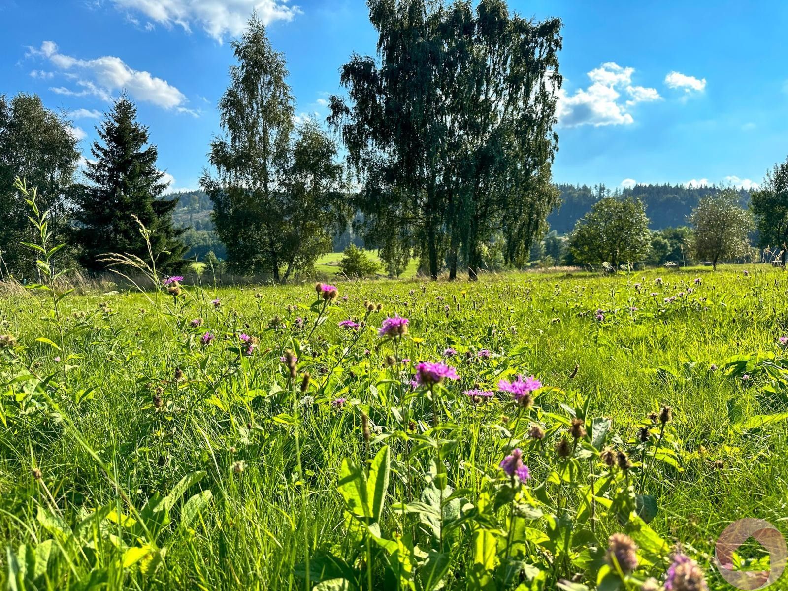 Pozemky pro bydlení, Horní Brusnice, 2 347 m²