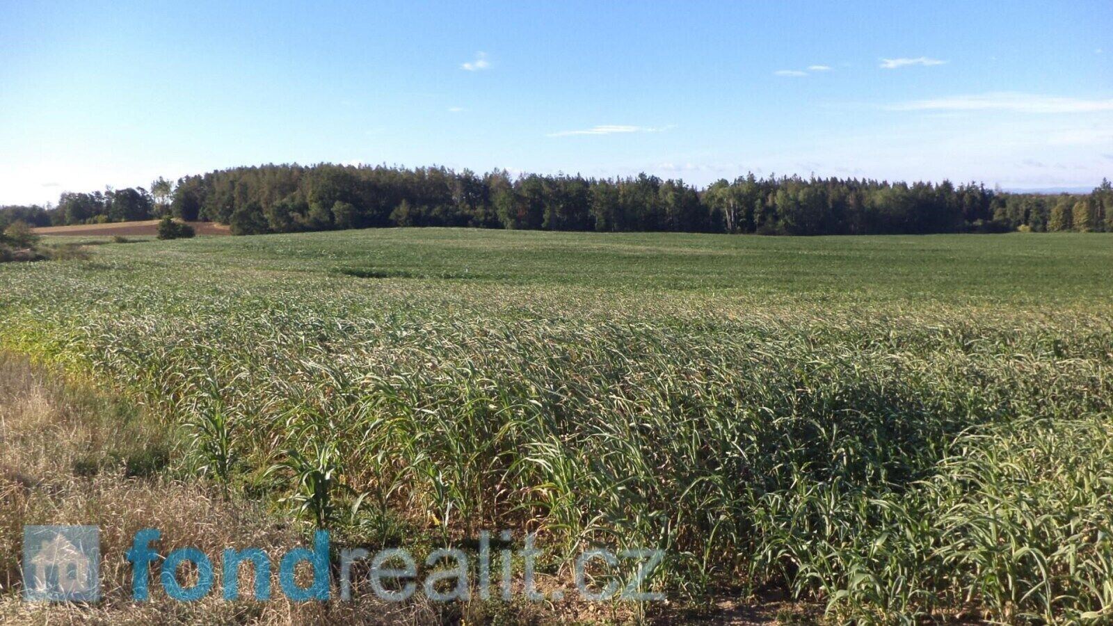 Prodej zemědělský pozemek - Kožlí u Čížové, Předotice, 4 968 m²