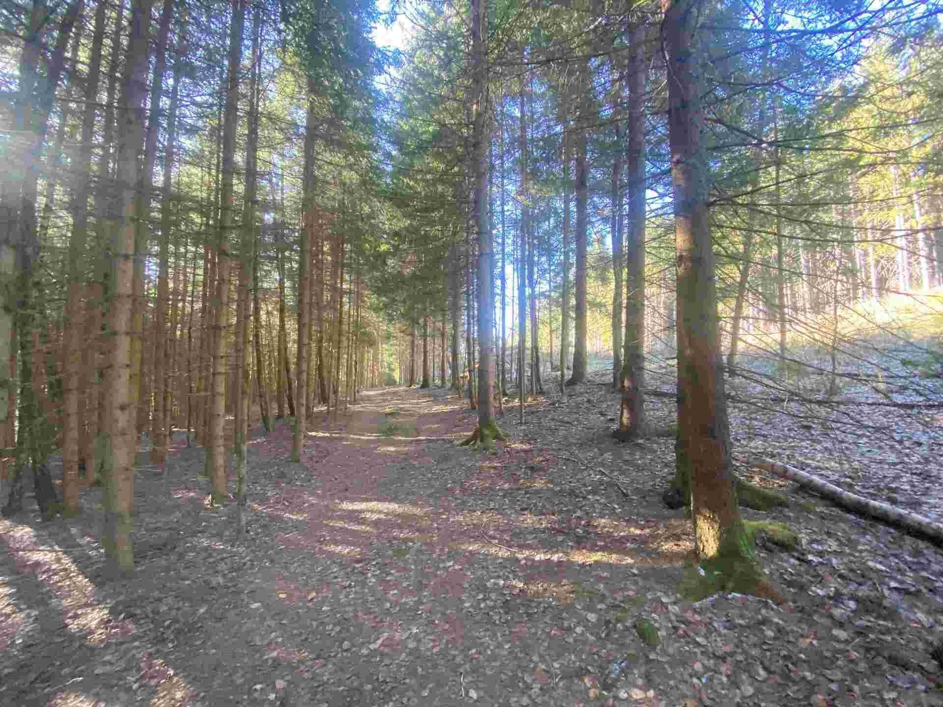 Ostatní, Špičák, Železná Ruda, 1 m²