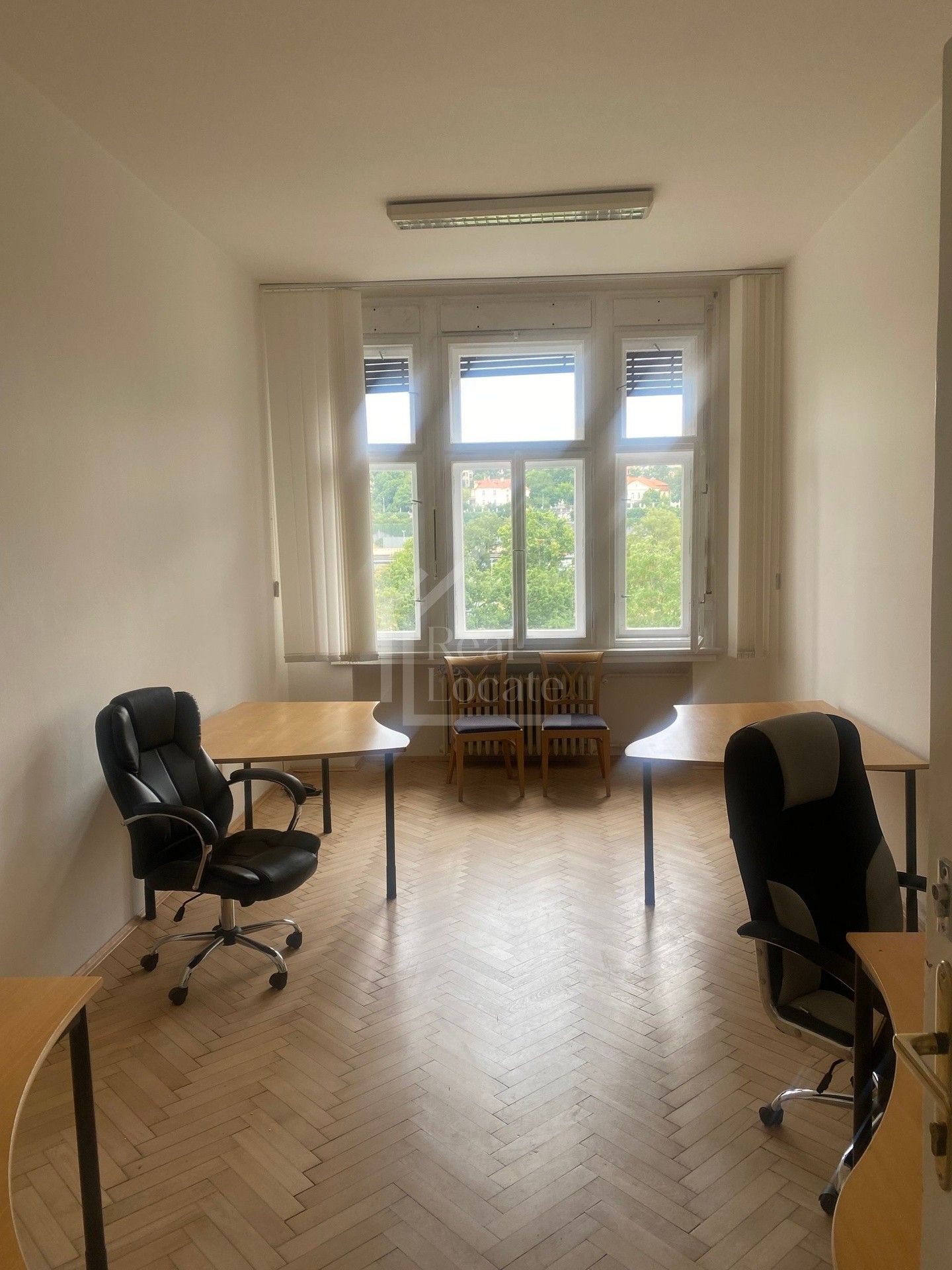 Kanceláře, Opletalova, Praha, 30 m²