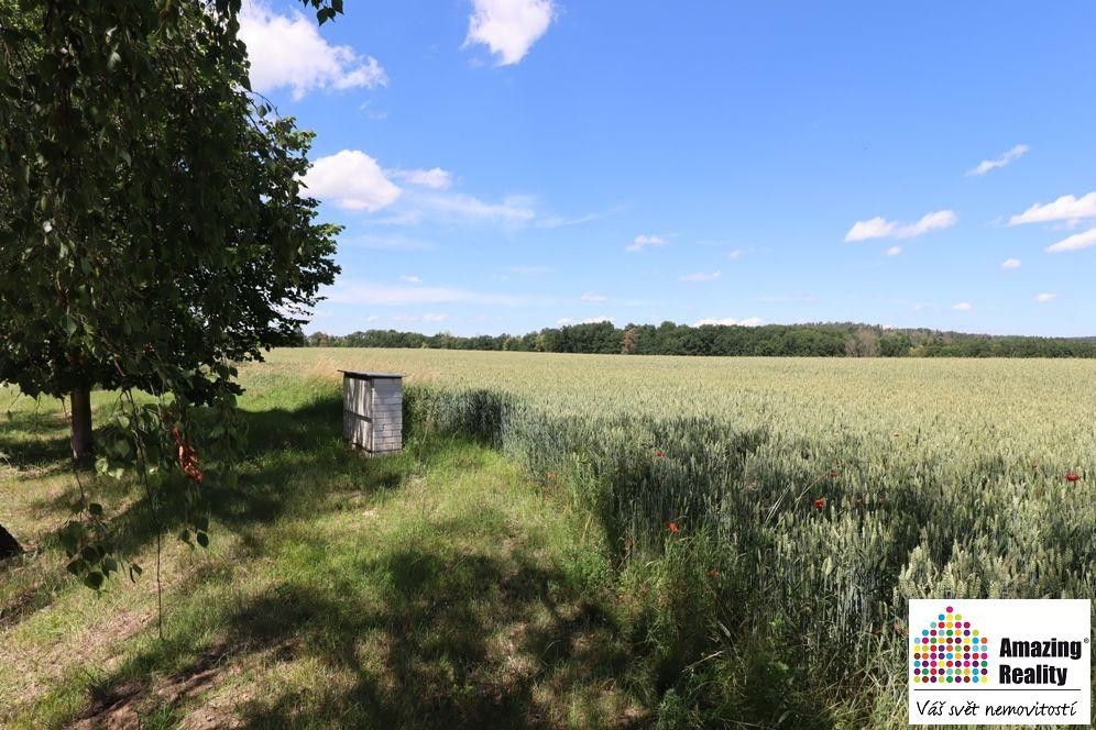 Prodej pozemek pro bydlení - Písek, 397 01, 6 704 m²