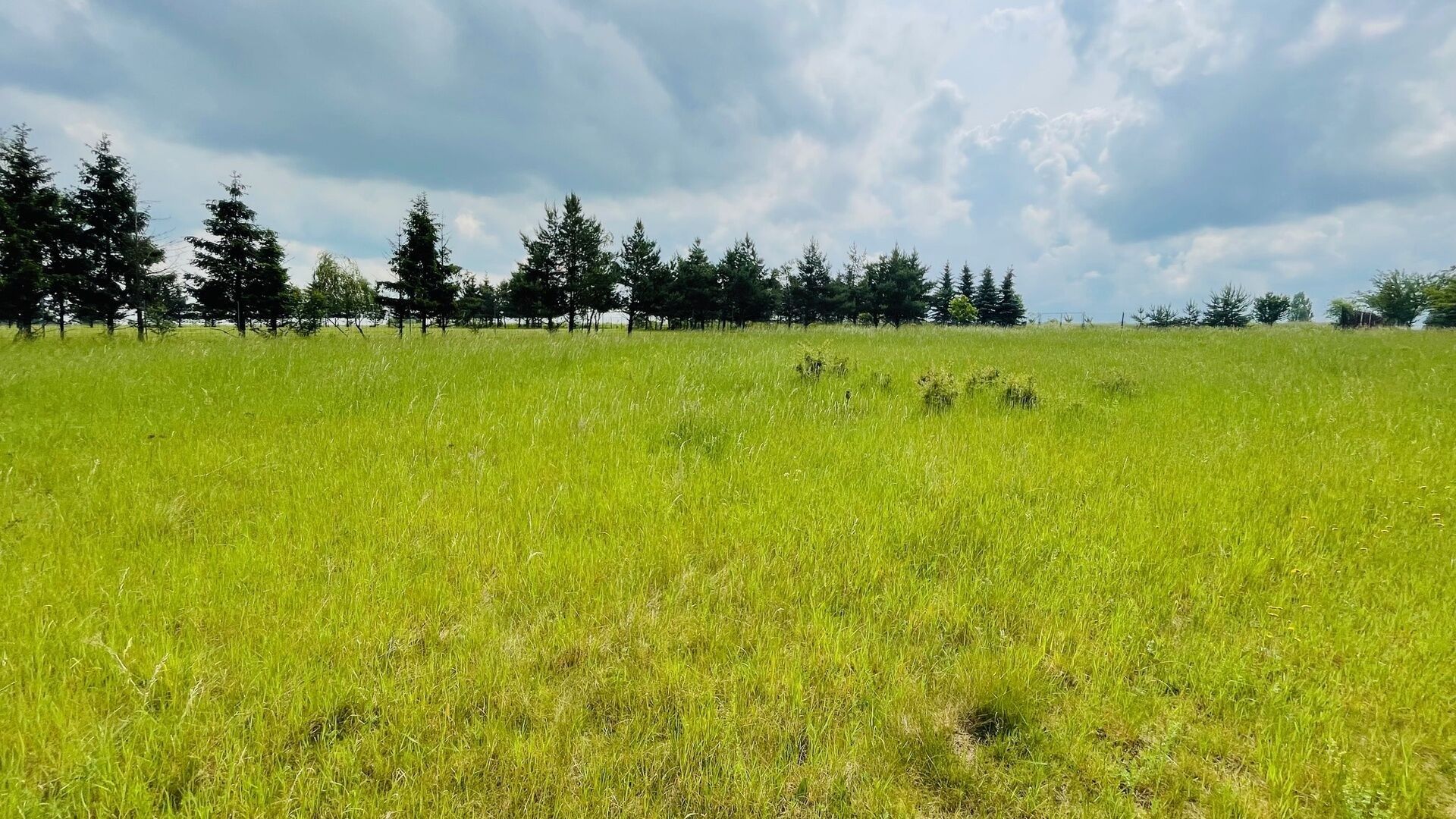 Prodej louka - Štoka, Unhošť, 1 m²