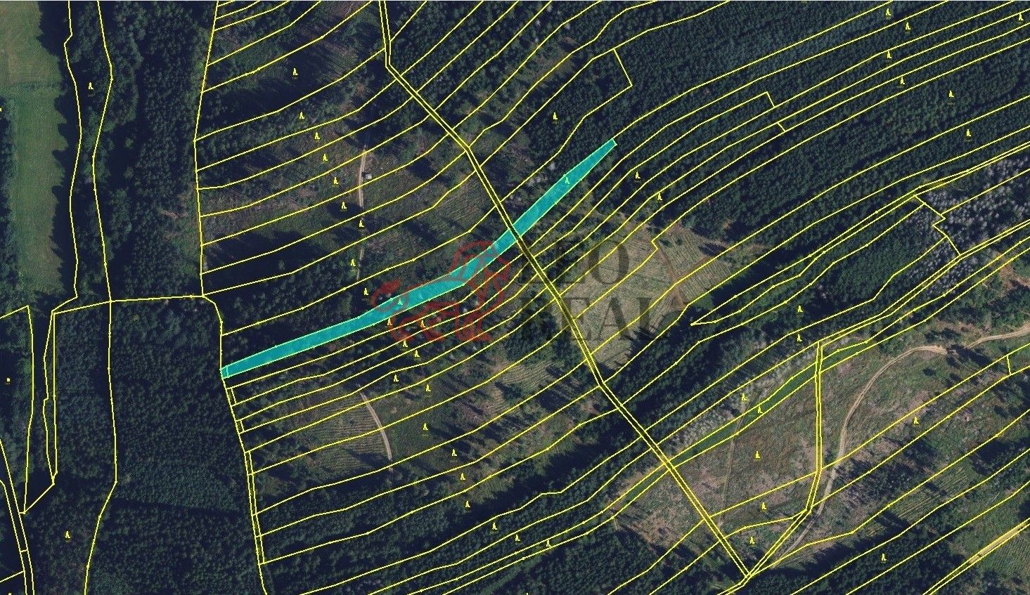 Lesy, Městečko Trnávka, 33 528 m²
