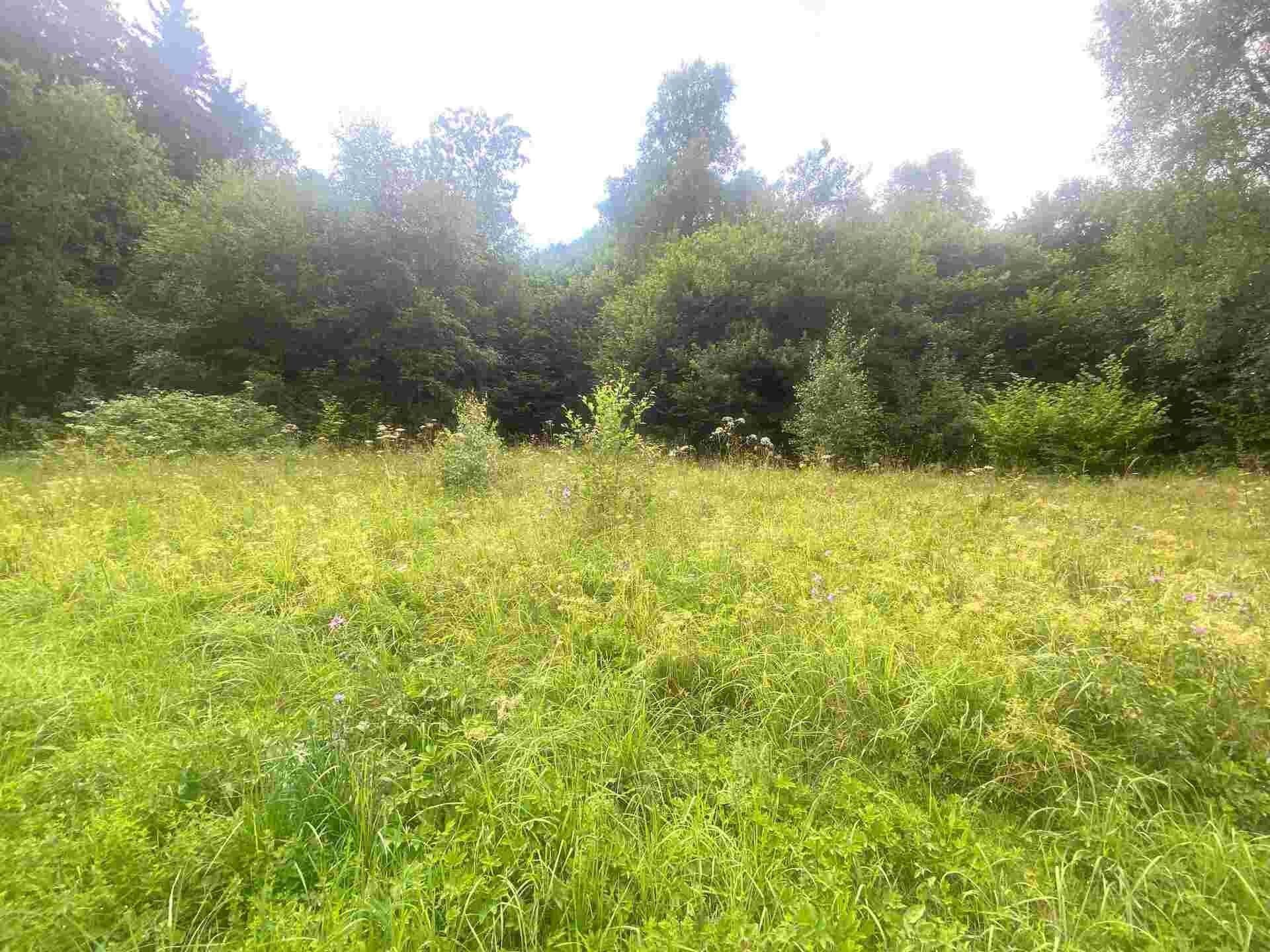 Pozemky pro bydlení, Mladkov, 1 m²