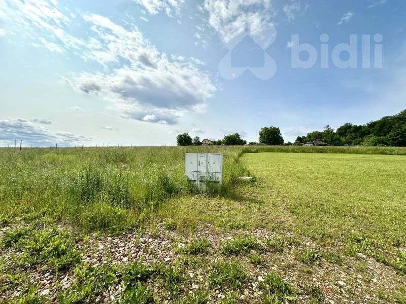 Zemědělské pozemky, Choltice