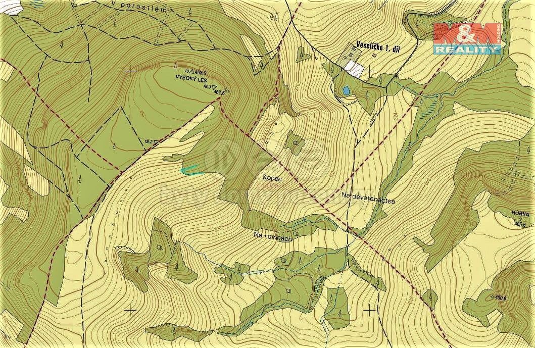 Prodej pozemek - Velká Bukovina u Děčína, 407 29, 140 m²