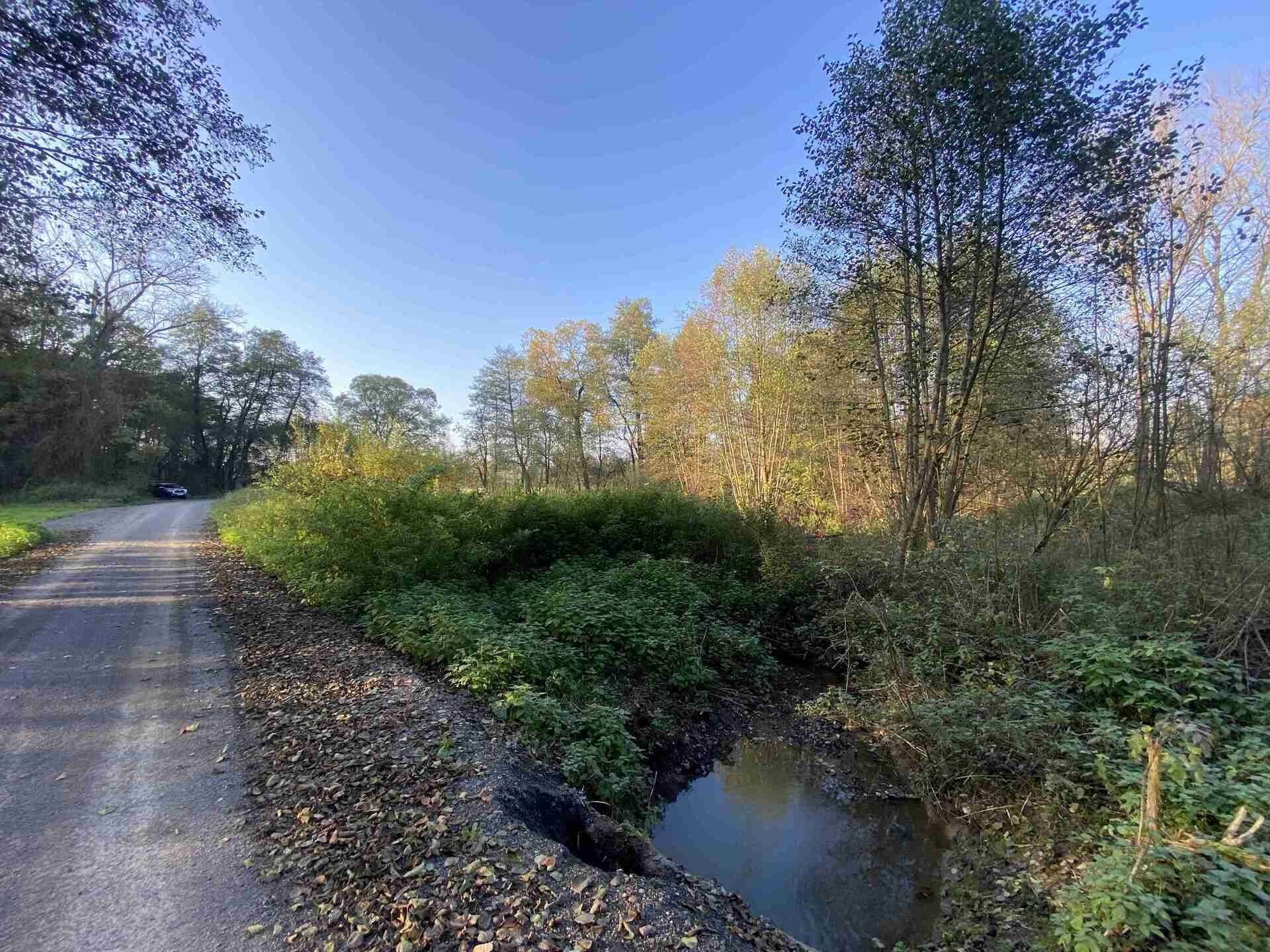 Ostatní, Třebařov, 1 m²