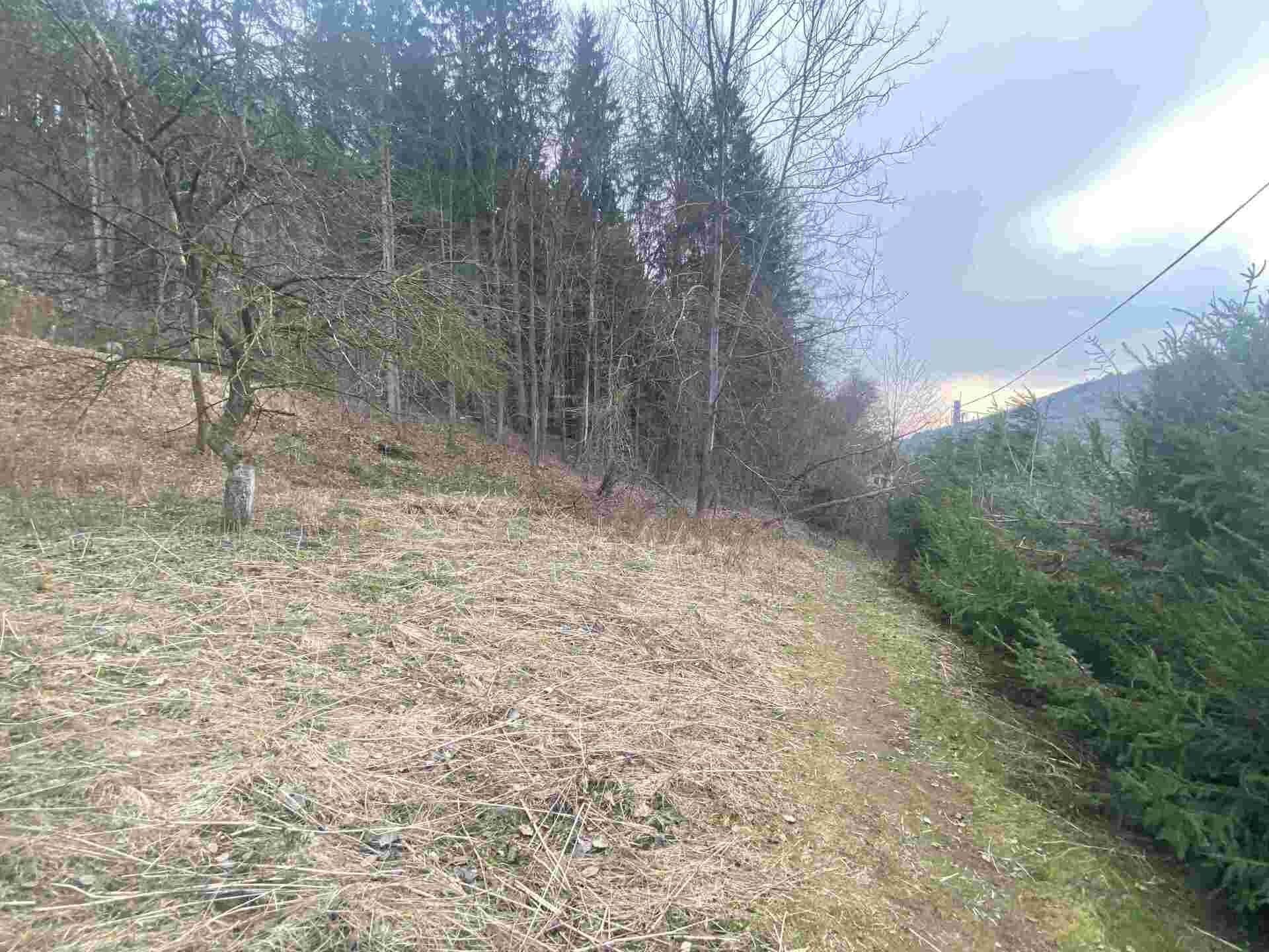 Ostatní, Dolní Dobrouč, 903 m²