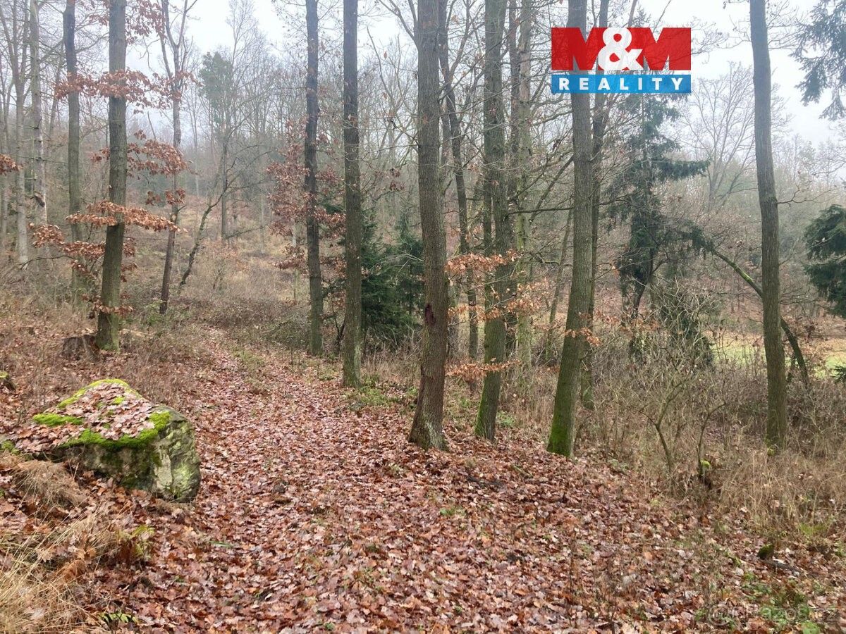 Pozemky pro bydlení, Vodňany, 389 01